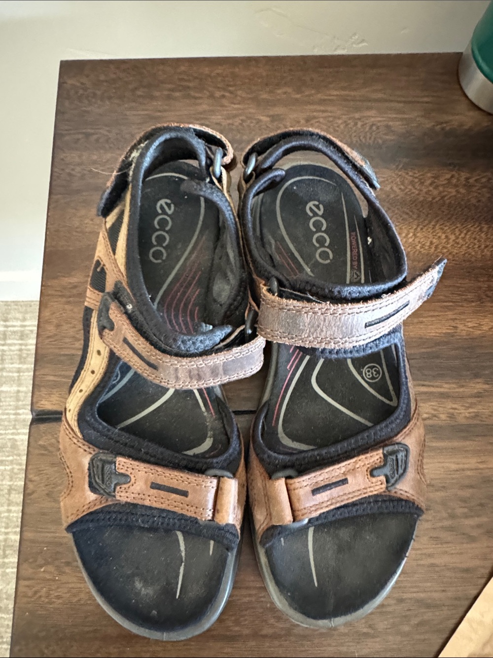 Ecco sandals.  Great condition